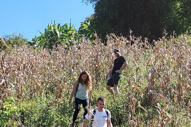 1 Day Trekking in Chiang Mai - Meeting a local hilltribe community