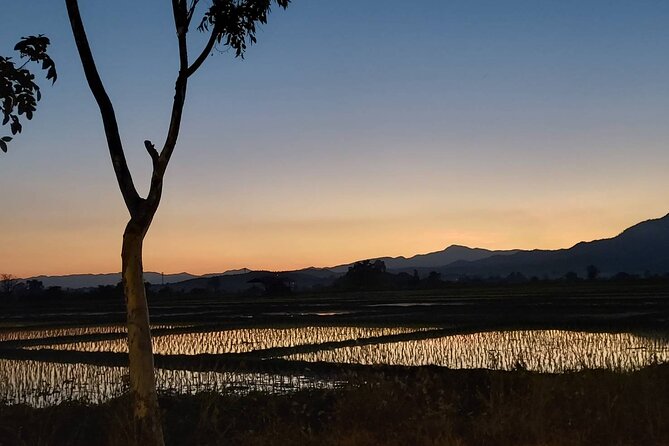 1 Day Trekking in Chiang Mai - Food, farming, and the wider day