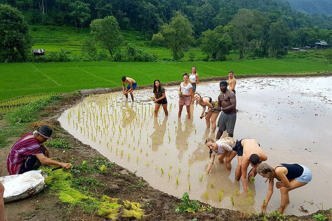 1 Day Trekking in Chiang Mai - What to pack for the 8:00 a.m. start