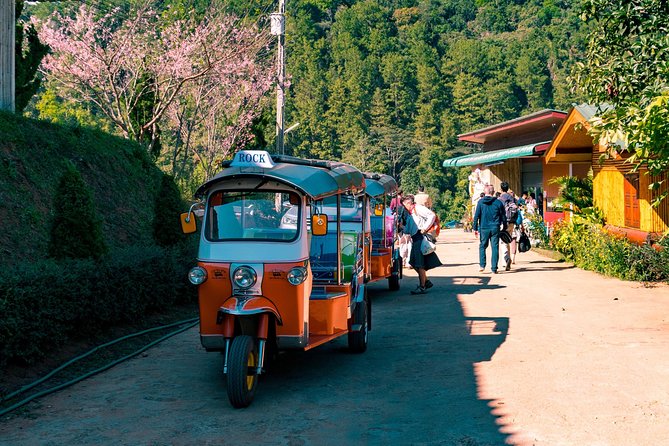 11 Day Tuk Tuk Adventure in Northern Thailand - Why a Tuk Tuk Is the Right Seat for Northern Thailand