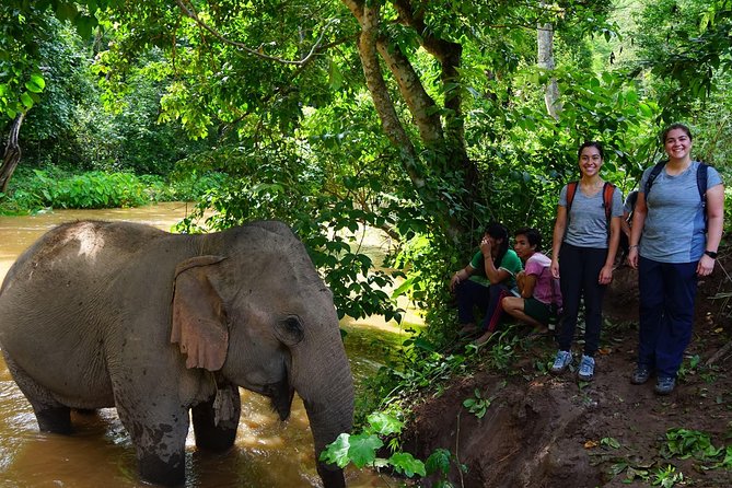 2-Day Kindred Spirit Elephant Sanctuary in Chiang Mai - From Chiang Mai to Mae Chaem and Doi Inthanon
