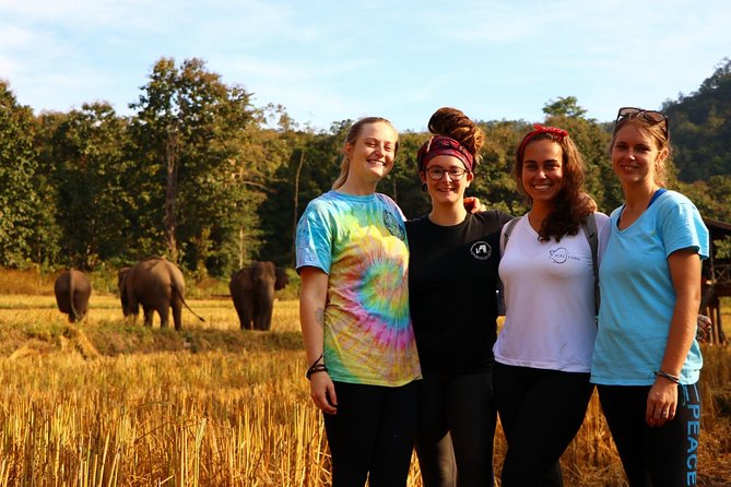 2-Day Kindred Spirit Elephant Sanctuary in Chiang Mai - What the elephant model means for you