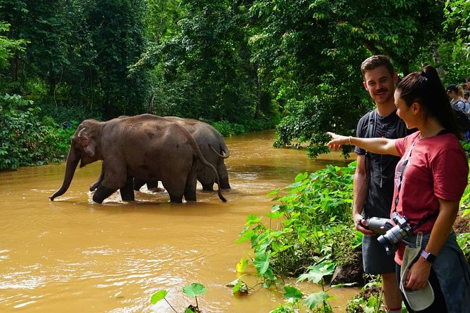 2-Day Kindred Spirit Elephant Sanctuary in Chiang Mai - Is $216.51 good value?