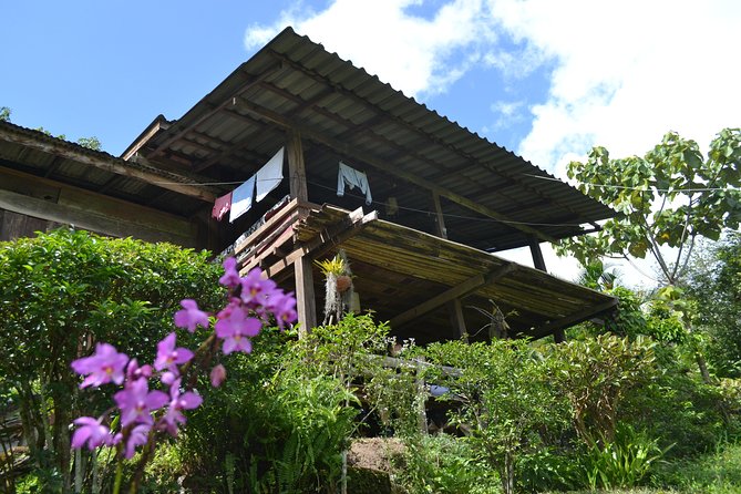 3-Day Chiang Dao Mountain Trek - Key things to know before you go