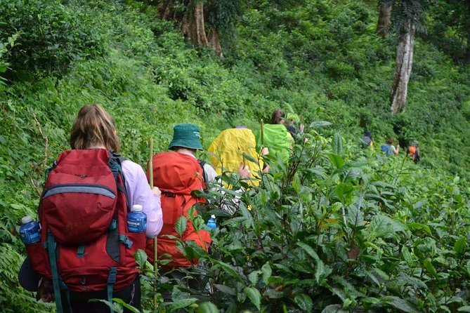 3-Day Chiang Dao Mountain Trek - Leaving Chiang Mai for the Chiang Dao mountains