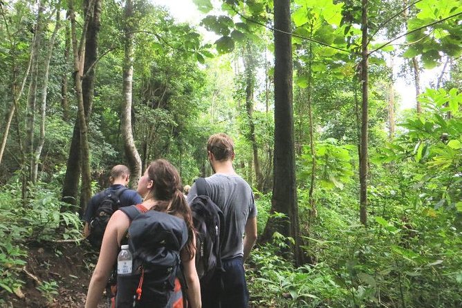 3-Day Chiang Dao Mountain Trek - Day two: ridges, bamboo, and the hardest walking