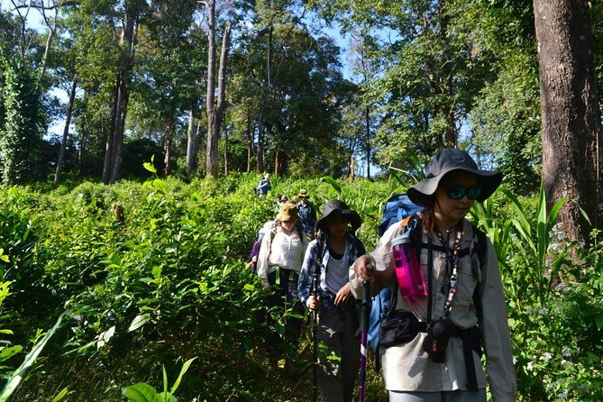 3-Day Chiang Dao Mountain Trek - Food is part of the experience