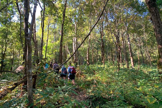 3-Day Chiang Dao Mountain Trek - What the $256 price really covers