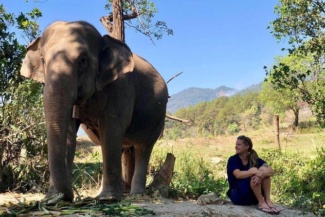3-in-1: Doi Inthanon Tour, Elephant Sanctuary, and Trekking Trail - Coffee and village life at Ban Mae Klang Luang
