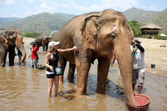 3D2NTrek Adventure at Chiang Mai Mea Wang Including Overnight at Karen Hilltribe - The Karen village stay: meaningful, but not polished