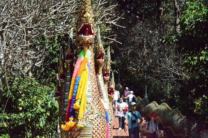 4 days Package Northern Charms. - Day 2: Seven hours in Doi Inthanon National Park
