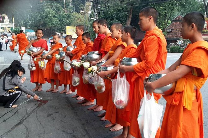 4 highlights: Sticky Waterfall/Elephants/local market /Wat Banden - Climbing Sticky Waterfall
