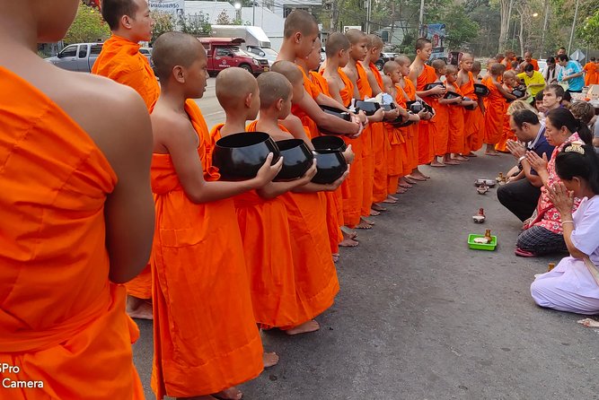 4 highlights: Sticky Waterfall/Elephants/local market /Wat Banden - Guides who shape the day