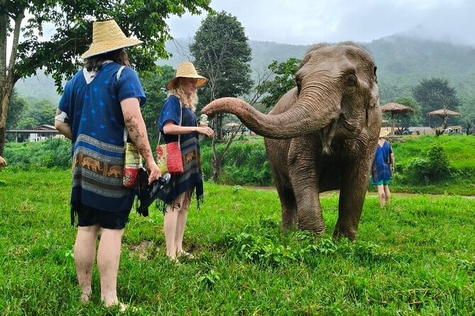 4 in 1 Elephants Long Neck Rafting and Sticky Waterfall Tour - Who should book this experience