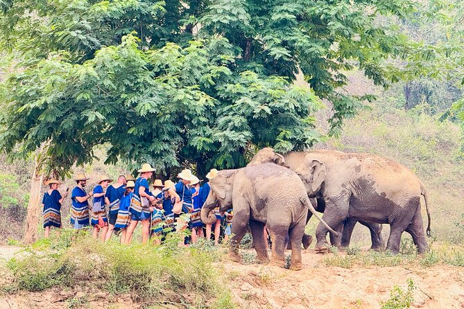 4 in 1 Elephants Long Neck Rafting and Sticky Waterfall Tour - Booking, cancellation, and practical details