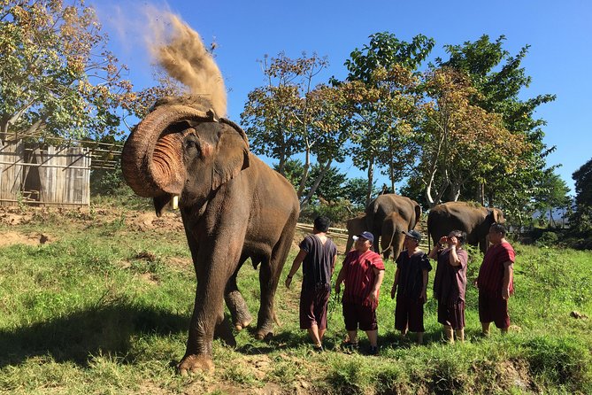 5 Day Tuk Tuk Adventure in Chiang Mai - with driver - Day 3: Doi Inthanon and a Karen village stay