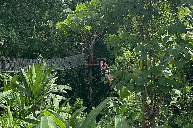 7 Hour Sticky Waterfall and Zipline Adventure - Climbing Bua Thong Falls Without Ropes