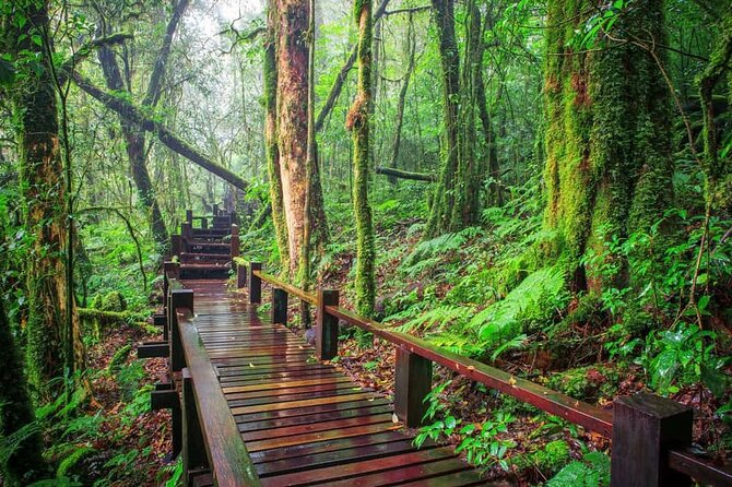 A Day Trip to Doi Inthanon Escape to Nature - Why Doi Inthanon makes a worthwhile day from Chiang Mai