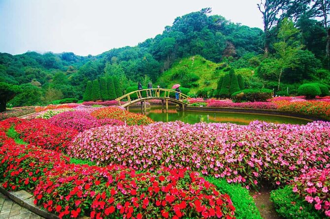 A Day Trip to Doi Inthanon Escape to Nature - Ang Ka Luang and the cool cloud forest