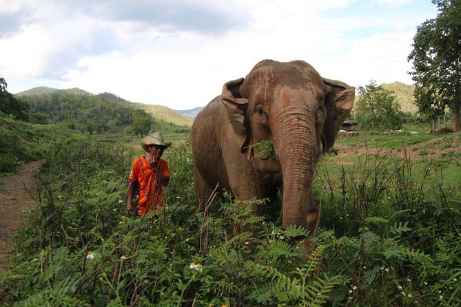 A stunning 11 Day Tuk Tuk Adventure in Northern Thailand - with driver - Day 5: The long road to Mae Sariang