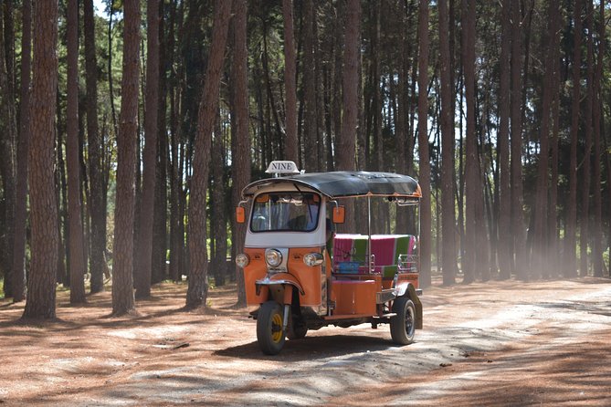 A stunning 11 Day Tuk Tuk Adventure in Northern Thailand - with driver - Day 7: A needed pause at Wat Phra That Doi Kong Mu