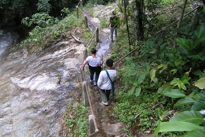 Authentic Mae Kham Pong Village Cultural Experience - Mae Kampong Waterfall and a short nature break