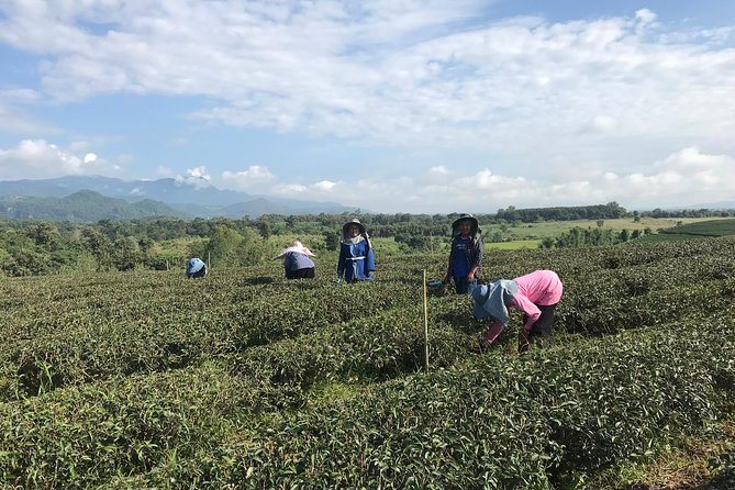 Best 2-Day: Explore Chiang Rai Landmarks from Chiang Mai, Private Trip - Who will get the most from this trip