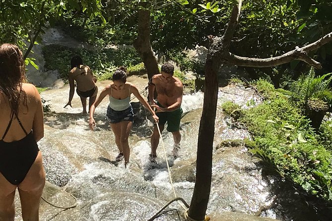 Best of Chiang Mai: Private Tour in a Day - Bua Thong Sticky Waterfall is the playful half