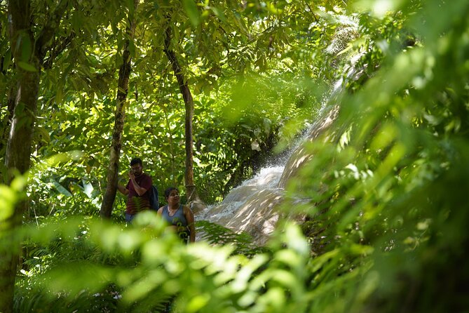 Bua Tong Waterfall Adventure& Huge Cave included Thai Buffet Tour - Lunch gives the day a useful break