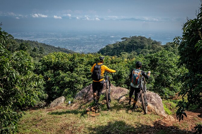 Buffalo Soldier Full Day Mountain Biking Tour Chiang Mai - Buffalo Soldier at a glance