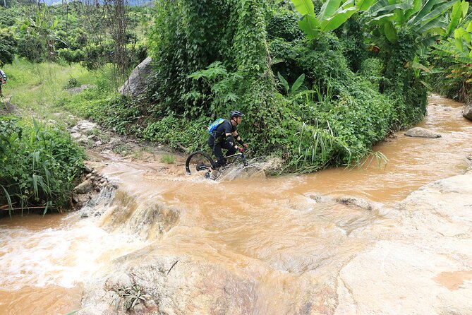 Buffalo Soldier Full Day Mountain Biking Tour Chiang Mai - Lunch beside the trail