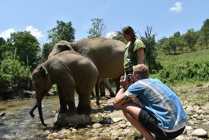 Care Pride Elephants: Full-Day Tour Experience - Lunch with a mountain view