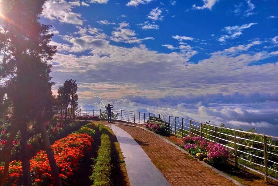 Chang Mai: Doi Inthanon Day Tour w/Waterfalls & Hilltribes - White Karen coffee and the plantation visit