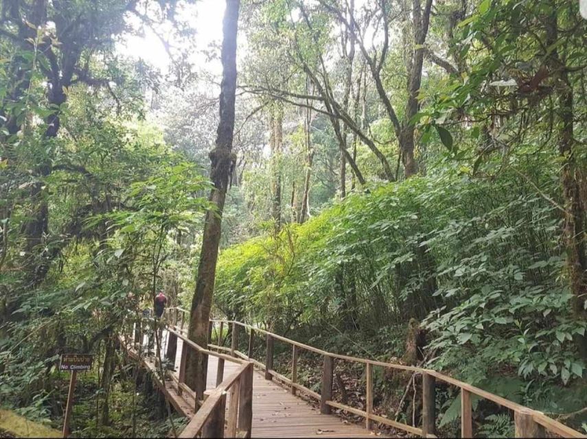 Chang Mai: Doi Inthanon Day Tour w/Waterfalls & Hilltribes - Why Doi Inthanon makes a strong day trip from Chiang Mai