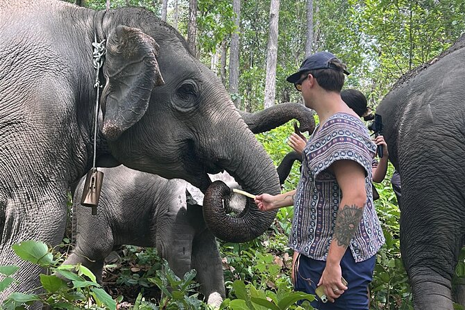 Chiang Mai 1 Day: Elephant Sanctuary, Waterfall & Bamboo Rafting - The Karen connection adds meaning