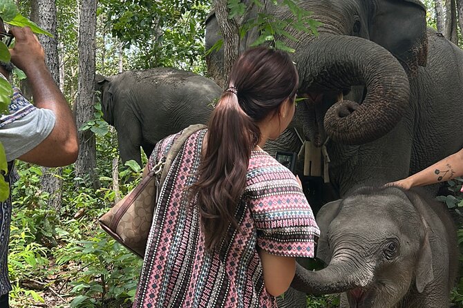 Chiang Mai 1 Day: Elephant Sanctuary, Waterfall & Bamboo Rafting - A relaxed bamboo raft ride