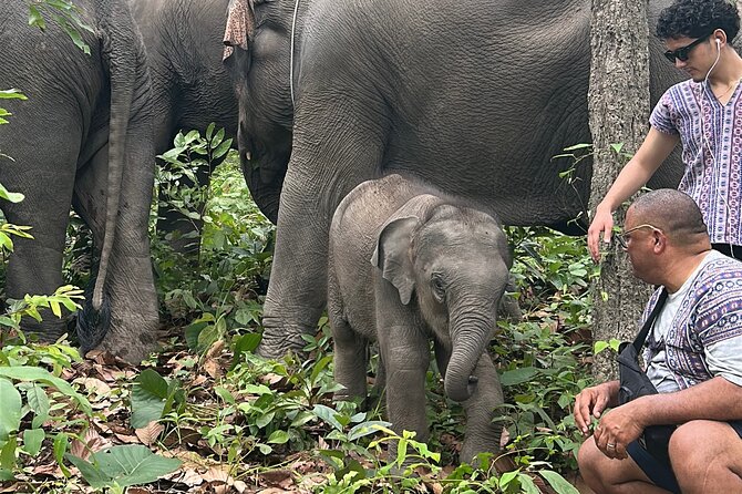 Chiang Mai 1 Day: Elephant Sanctuary, Waterfall & Bamboo Rafting - What the $77.99 price covers