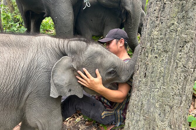 Chiang Mai 1 Day: Elephant Sanctuary, Waterfall & Bamboo Rafting - Meeting the elephants at the sanctuary