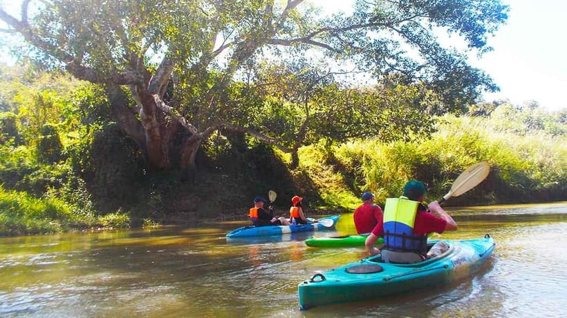 Chiang Mai: 15 km Leisure River Kayaking at Mae Ngat forest - Who Will Enjoy This Kayak Day
