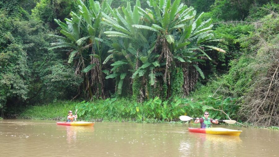 Chiang Mai: 15 km Leisure River Kayaking at Mae Ngat forest - The Ping River Without City Noise