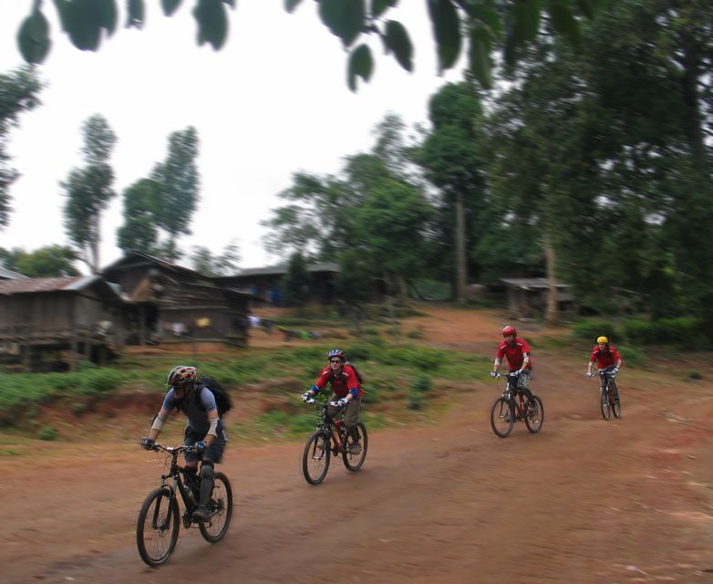Chiang Mai: 20km Downhill Mountain Biking Challenge Suthep M - Who should book this mountain bike tour