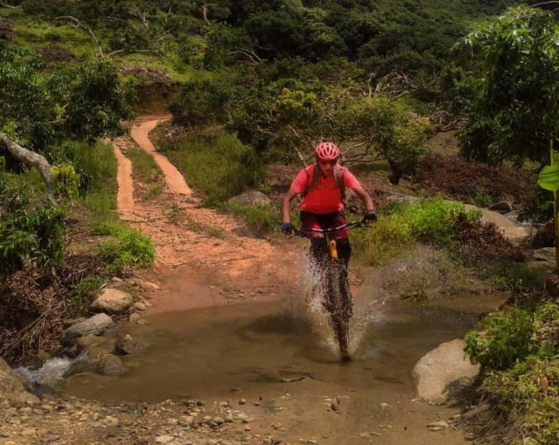Chiang Mai: 20km Downhill Mountain Biking Challenge Suthep M - Why the Doi Suthep descent is worth your day