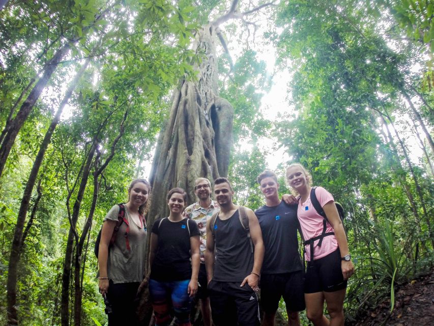 Chiang Mai: 7-Hour Doi Suthep National Park Summit Hiking - From Chiang Mai to the cool air of Doi Suthep