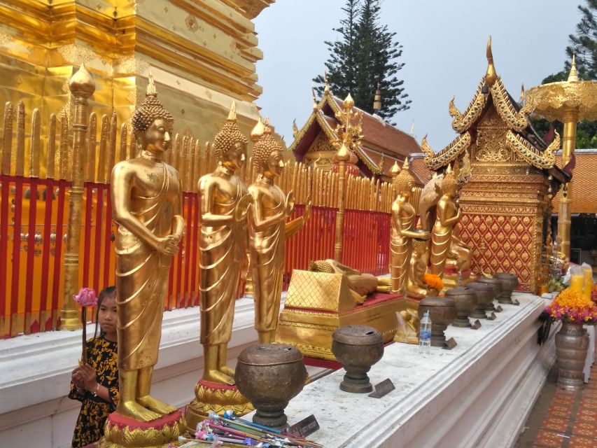Chiang Mai: 7-Hour Doi Suthep National Park Summit Hiking - Two and a half hours through Doi Suthep-Pui National Park