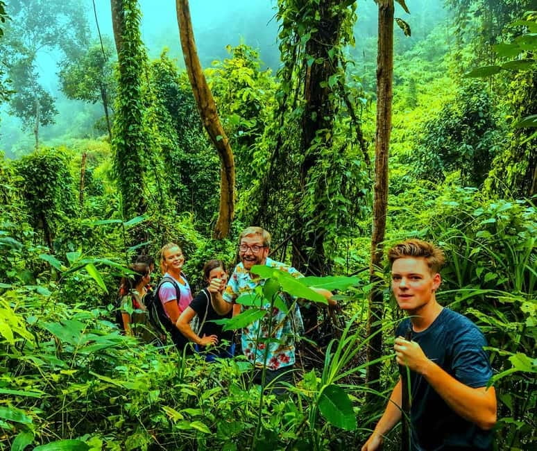 Chiang Mai: 7-Hour Doi Suthep National Park Summit Hiking - Doi Pui and the Hmong village