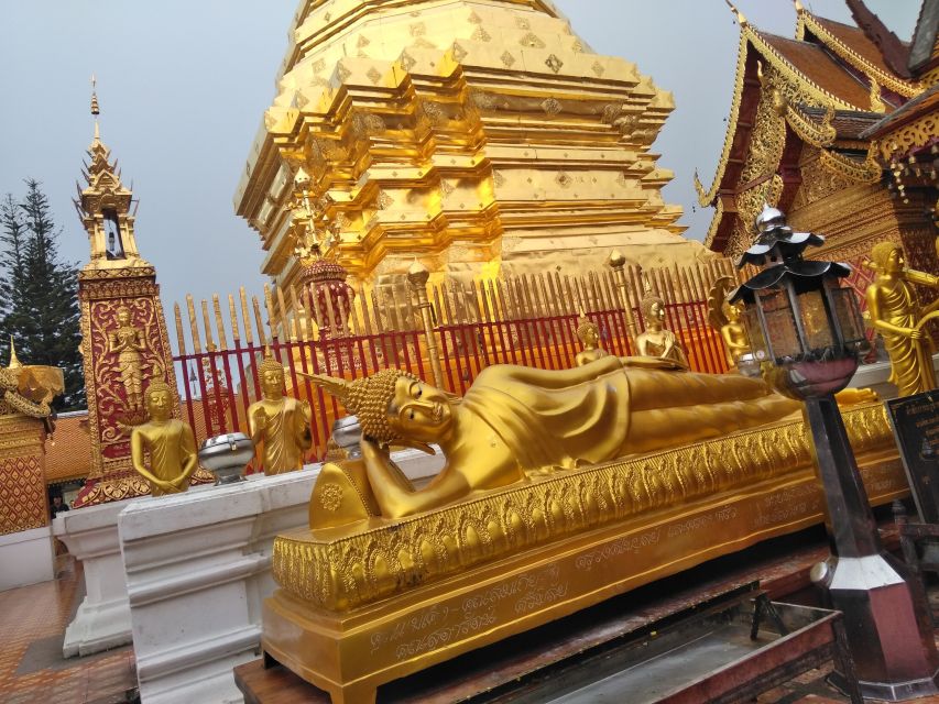 Chiang Mai: 7-Hour Doi Suthep National Park Summit Hiking - Lunch with a 180-degree view