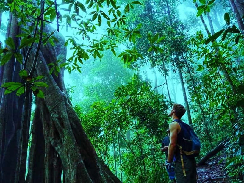 Chiang Mai: 7-Hour Doi Suthep National Park Summit Hiking - What the $60 price really covers