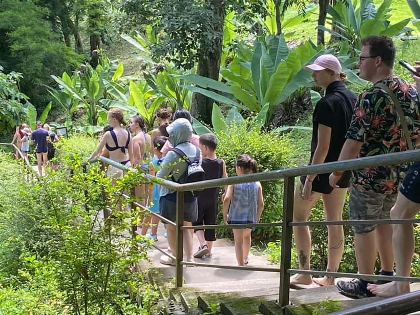 Chiang Mai: Afternoon Bua Tong Sticky Waterfall by Red Taxi - Climbing the tufa cascades