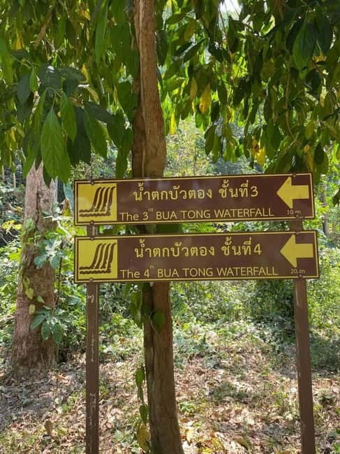 Chiang Mai: Afternoon Bua Tong Sticky Waterfall by Red Taxi - Timing and the return to Chiang Mai