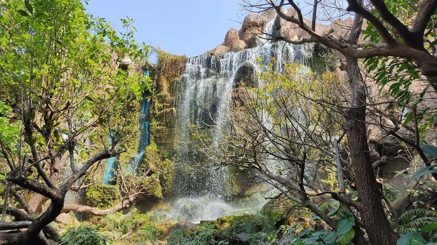 Chiang Mai: Angel Waterfall & Sticky Waterfall & Wat Ban Den - Why the Sticky Waterfalls make this trip different